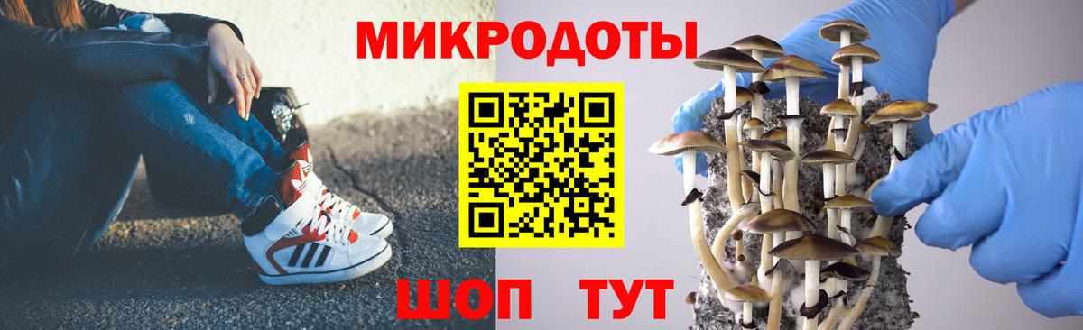 Псилоцибиновые грибы мицелий Ноябрьск