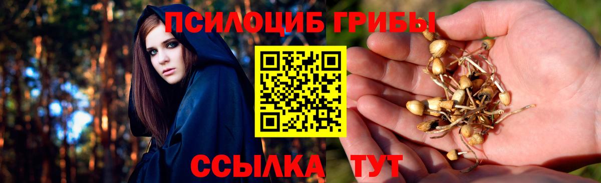 закладка  Вход с VPN  Ноябрьск  Галлюциногенные грибы MAGIC MUSHROOMS 